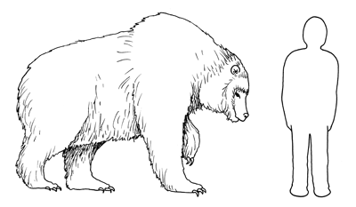 Figure 3.10: Reconstruction of the giant short-faced bear <em class='sp'>Arctodus</em>, compared to a six-foot human.