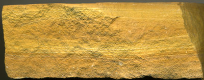 Figure 2.27: Volcanic ashfall tuff from the Eocene, Green River Formation, Wyoming.