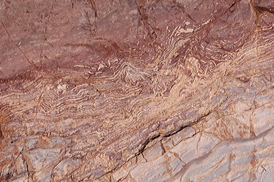 Figure 3.3: Stromatolites from the mid-Proterozoic Bass Limestone of the Grand Canyon.