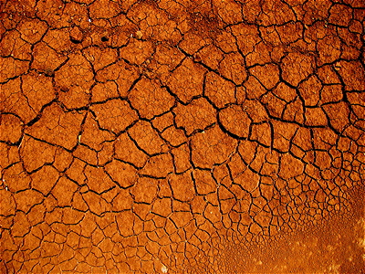 Figure 7.18: Cracked Vertisol soils near Ash Fork, Arizona.
