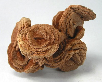 Figure 5.7: A barite rose from Cleveland County, Oklahoma.
