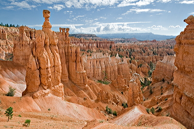 Figure 2.17: The Claron Formation is prominently exposed in the cliffs and hoodoos (tall skinny spires of rock) of Bryce Canyon, Arizona. Vertical joints through the rocks have become weathered through frost wedging, leading to the formation of hoodoos.