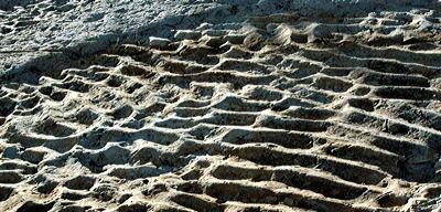 Figure 2.15: Ripple marks in the Dakota Sandstone of Dinosaur Ridge, Colorado.