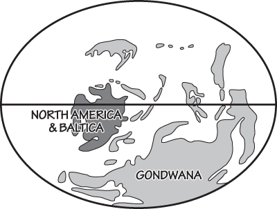 Figure 1.9: The Devonian period globe.