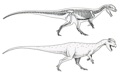 Figure 3.21: Skeleton and restoration of the theropod dinosaur Dilophosaurus, approximately 6 meters (20 feet) long.