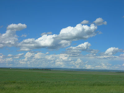 Figure 4.6: The Drift Prairie near Bottineau, North Dakota. The rolling landscape of the Turtle Mountains is visible in the far distance.