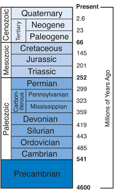 Figure 1.2: The Geologic Time Scale (spacing of units not to scale). 