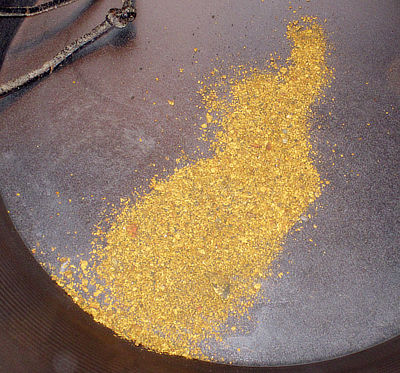 Figure 5.16: Gold dust (placer gold) found near Cody, Wyoming.