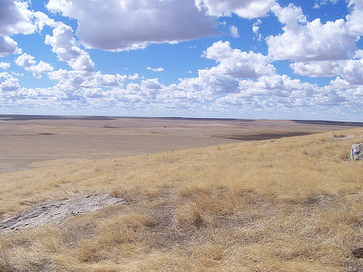 Figure 8.15: Seemingly endless stretches of rolling short and intermediate grasses dominate the drier soils of the Great Plains.