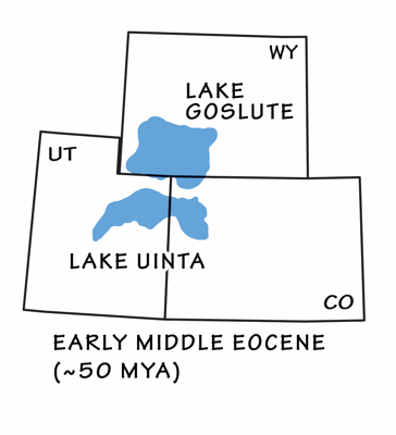 Figure 5.3: Distribution of the Eocene Green River Formation. Blue areas mark the location of middle Eocene lakebeds that bear very large oil shale, nahcolite, and trona deposits.