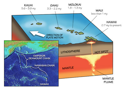 Figure 1.13: Interaction of the Pacific plate and the Hawaiian hot spot produces a chain of volcanic islands that increase 
in age with increasing distance from the hot spot. The Emperor Seamounts are the continuation of the Hawaiian 
Islands, and formed while the plate was moving directly north.
