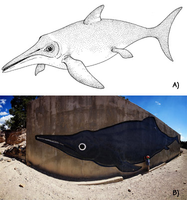Figure 3.7: Ichthyosaurs. A) A typical ichthyosaur, as it might have looked in life. B) <em class='sp'>Shonisaurus</em>, the largest known ichthyosaur, from the Triassic of Nevada. Painting at Ichthyosaur State Park, Nevada.
