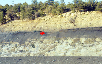 Figure 3.35: The Cretaceous - Paleogene (K - Pg) boundary (red arrow) along Interstate 25, Raton Pass, Colorado.