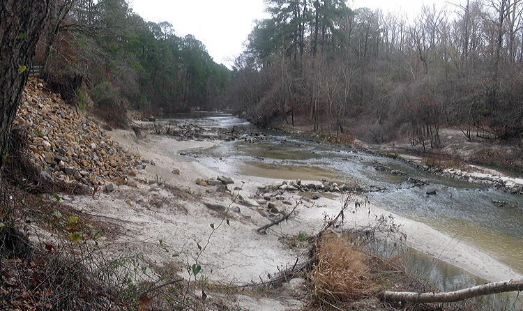 Figure 2.15: The Kisatchie National Forest in north-central Louisiana contains some of the state’s oldest sediment, including Paleogene and Neogene silt, gravel, and shale.
