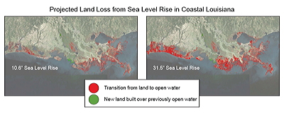 Figure 9.15: Land loss in coastal Louisiana.