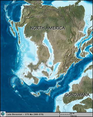 Figure 9.5: By the late Devonian (375 million years ago), the oceans between Gondwana and Euramerica had begun to close.