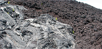 Figure 2.37: Juxtaposition of pahoehoe (left) and ’a’a flows (right).