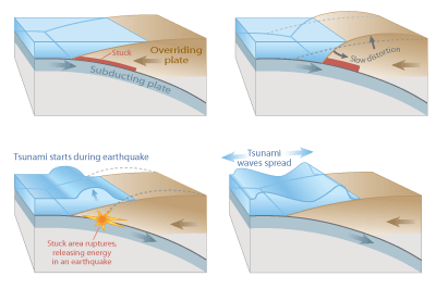 Figure 10.10: The steps involved in a megathrust earthquake and tsunami.