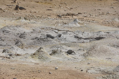 Figure 2.34: Mudpots in the Pocket Basin, Yellowstone National Park. The mud is composed of hot water mixed with volcanic clay.