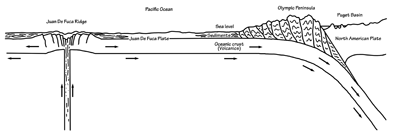 Figure 2.25: Formation of the Olympic Peninsula and Mountains.