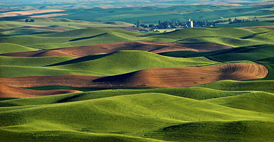 Figure 4.8: The Palouse Hills in southeastern Washington are an important agricultural area.