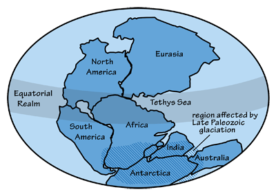Figure 9.5: The breakup of Pangaea began around 220 million years ago.