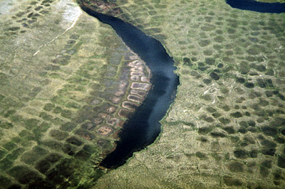 Figure 8.16: An overhead view of patterned ground in Alaska.