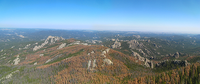 Figure 9.16: A swath of dead trees in the Black Hills of South Dakota, destroyed by the mountain pine beetle.