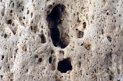 Figure 5.9: A close-up of a pumice stone, revealing its highly porous and vesicular texture. These gas bubbles make the rock so lightweight that it is able to float. Field of view is 2.7 centimeters (1 inch) across.