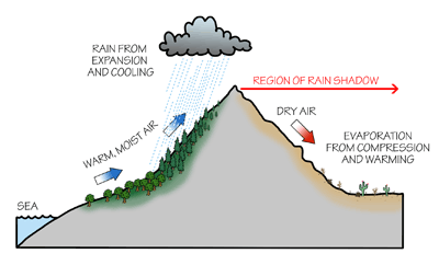 Figure 4.11: The rain shadow effect occurs when moisture-laden air rises up the windward side of a mountain, only to release this moisture as precipitation due to cooling and condensation. Once the air reaches the leeward side, it warms and expands, promoting evaporation (and a lack of precipitation).