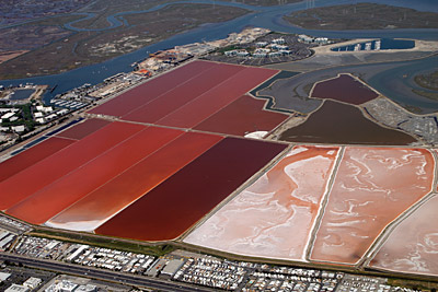 Figure 5.11: Salt evaporation ponds on the western shore of San Francisco Bay. Different microorganisms thrive in varying levels of salinity, causing the ponds to change in color. Low-salinity ponds are inhabited by blue-green algae, while saltier waters support orange brine shrimp and red bacteria.
