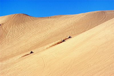 Figure 7.17: Sand Mountain, a 210- to 245-meter (700- to 800-foot) wall of Entisol sand at Little Sahara in Utah, is a popular location for ATV riding.