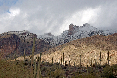Figure 4.24: The heavily eroded Santa Catalina Mountains near Tucson, Arizona are surrounded by forests of saguaro cacti. The highest point in these mountains has a relief of 1572 meters (5157 feet) over the surrounding landscape, and the mountains are tall enough to receive snowfall.