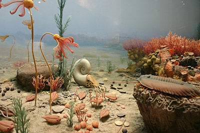 Figure 9.3: Life in the Silurian reefs.