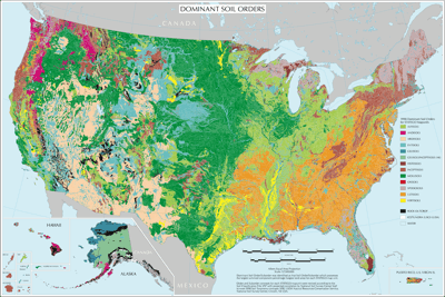 Figure 7.4: Dominant soil orders of the United States.