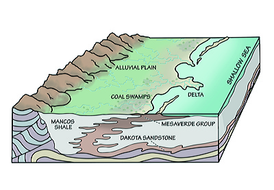 Figure 3.35: Reconstruction of the paleoenvironment in which Utah's Cretaceous coal deposits formed. When trees and other vegetation fall into the stagnant water of a coastal swamp, deterioration of the organic material is delayed, and a thick layer of peat is formed. Over time, the peat is compressed into coal.
