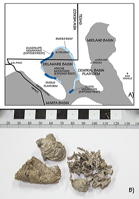 Figure 3.63: Permian reefs of Texas.