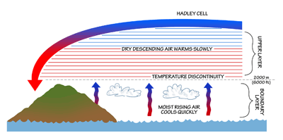 Figure 9.15: The rate of cooling of moist boundary layer air is faster than the rate of warming of dry descending Hadley cell air. The temperature (density) discontinuity prevents boundary layer air from mixing with upper layer air, and so it creates an upper ceiling for cloud formation.