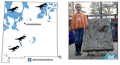Figure 3.32: Tyrannosaurs in New Mexico. A) Locations where tyrannosaur fossils have been found. B) Cast of the only footprint ever confidently assigned to Tyrannosaurus rex, found near the town of Cimarron, Colfax County, New Mexico. The print measures 86 centimeters (34 inches) long. This cast is on exhibit at the Smithsonian Institution’s National Zoo in Washington, DC.