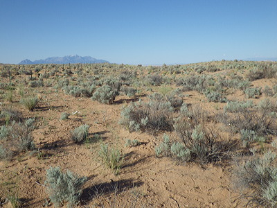 Figure 7.12: Aridisol soils support the growth of this sagebrush steppe near Utah’s Henry Mountains.