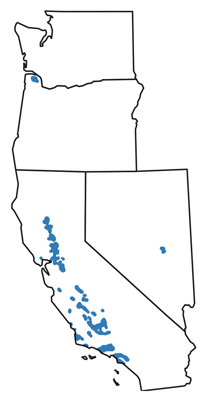 Figure 7.4: Oil and gas production in the Western US.